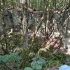 Karstwanderung